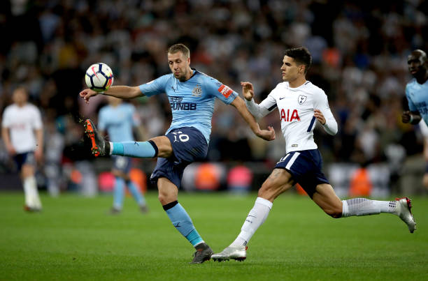 这一选择的 这一选择的